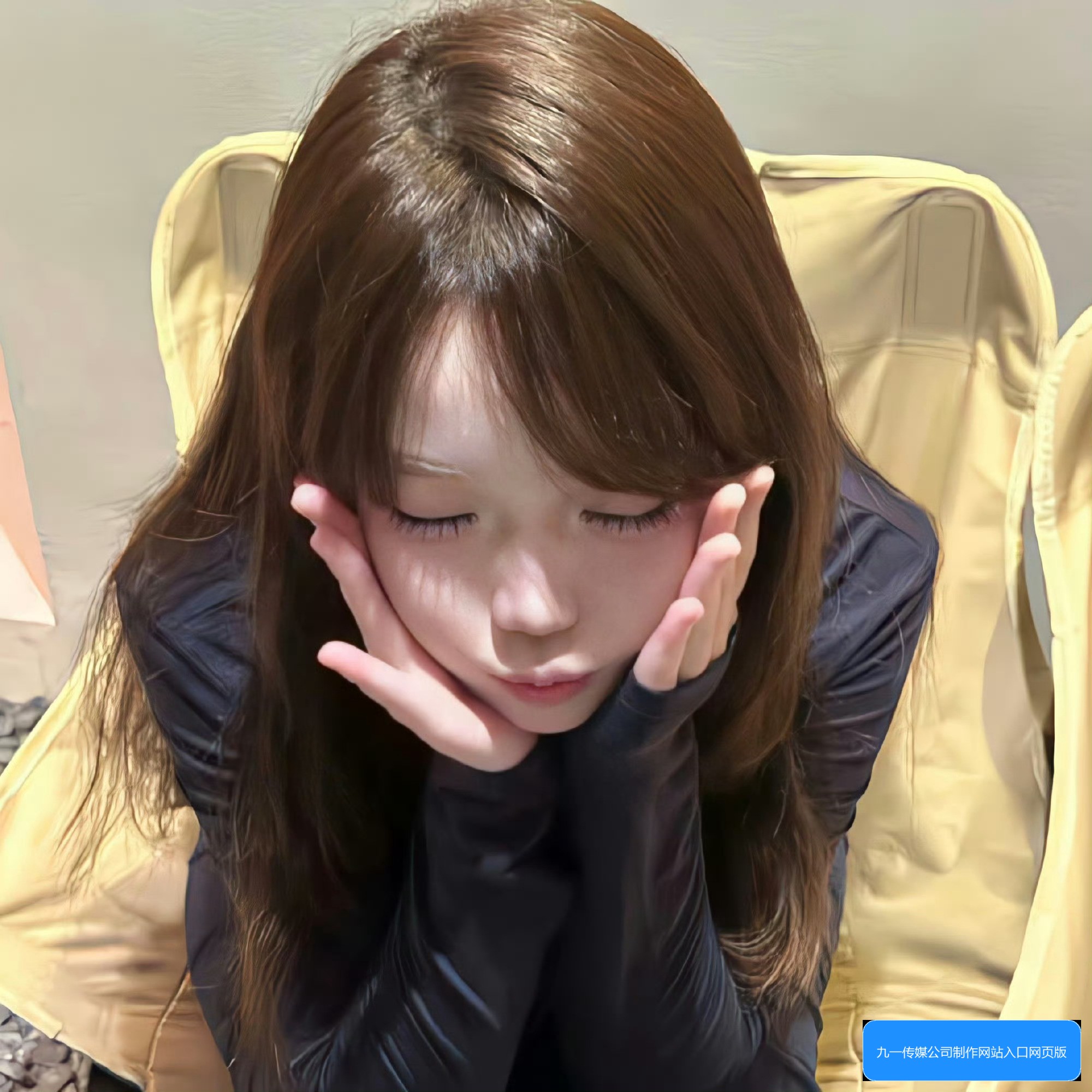 模板选择与定制