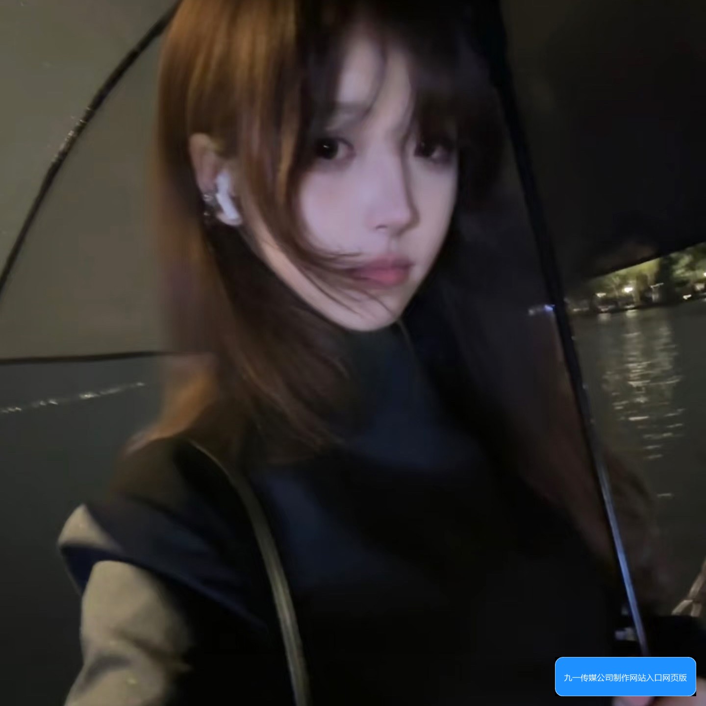 网站入口界面截图