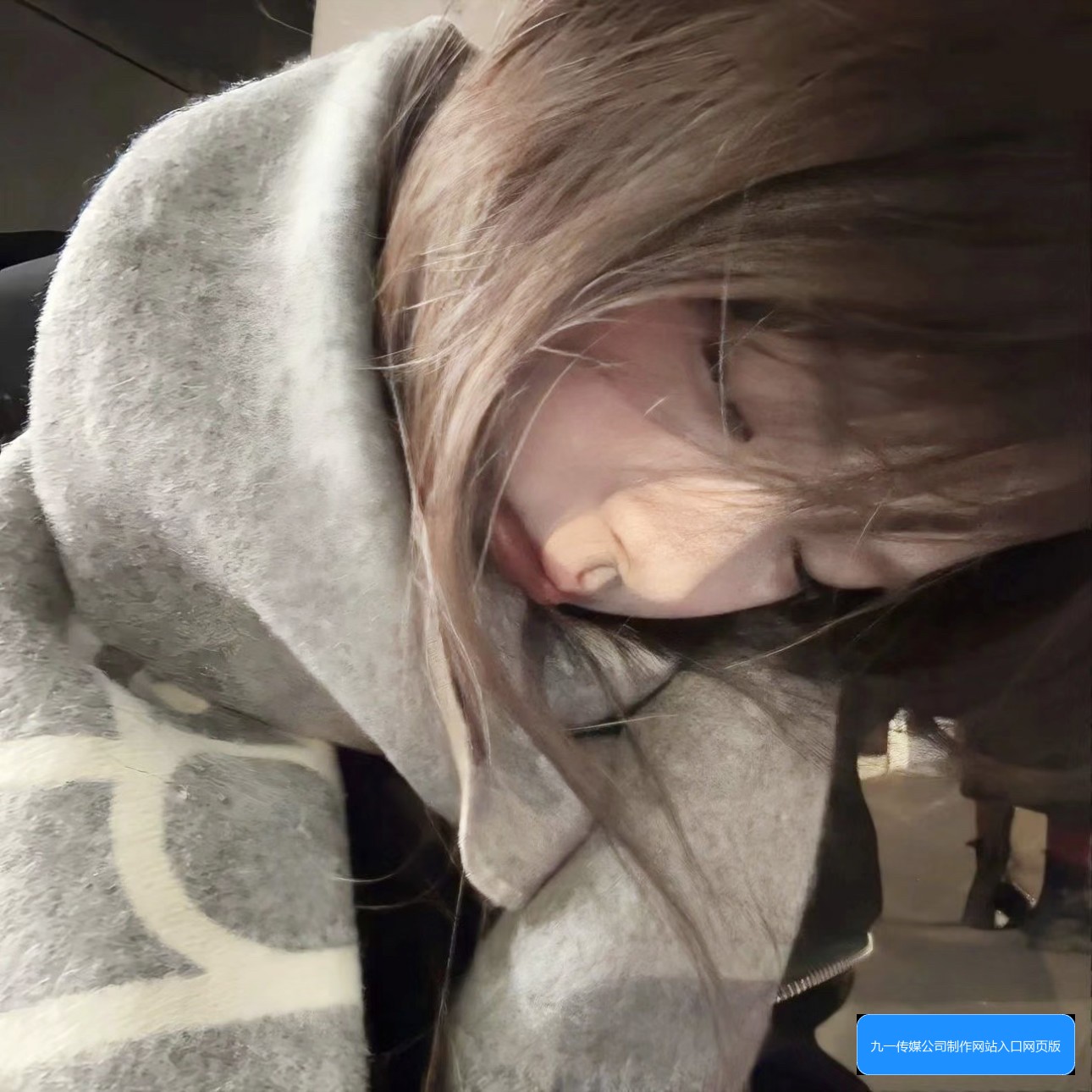 九一传媒公司官网入口示意图