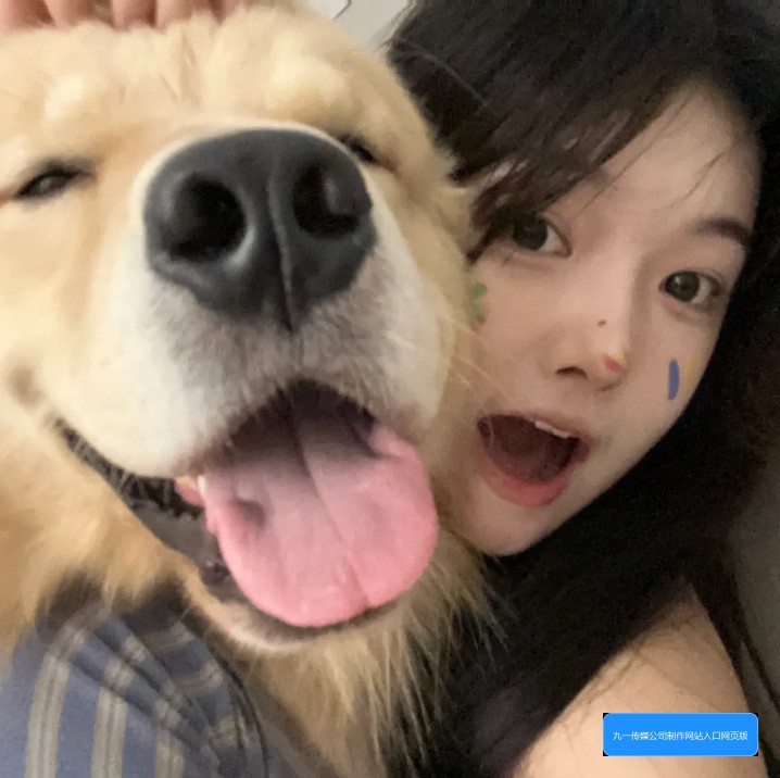 九一传媒公司制作的网站入口网页版有哪些特点和使用方法