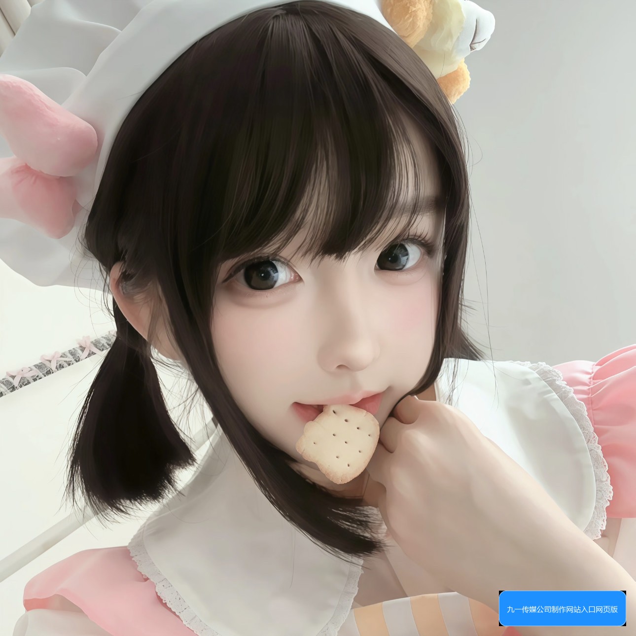 九一传媒公司制作网站入口网页版官方平台有哪些功能和使用方法